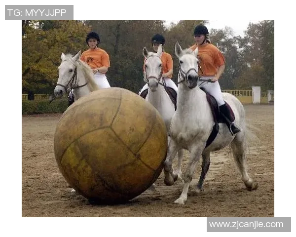 吴娜独家分享羽毛球技巧与心得助你提升竞技水平与乐趣